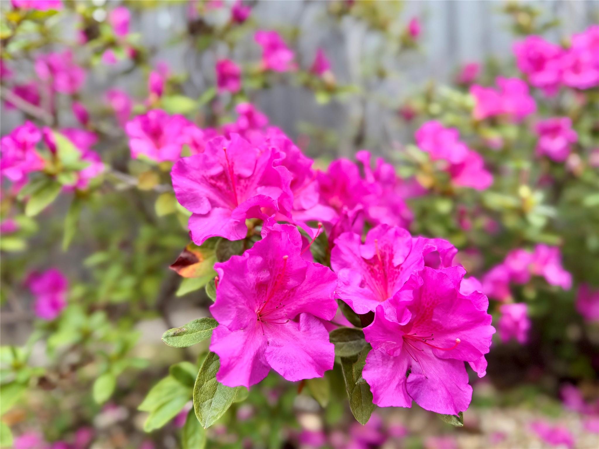 2210 Onion Creek Pkwy # 1404, Austin, TX 78747