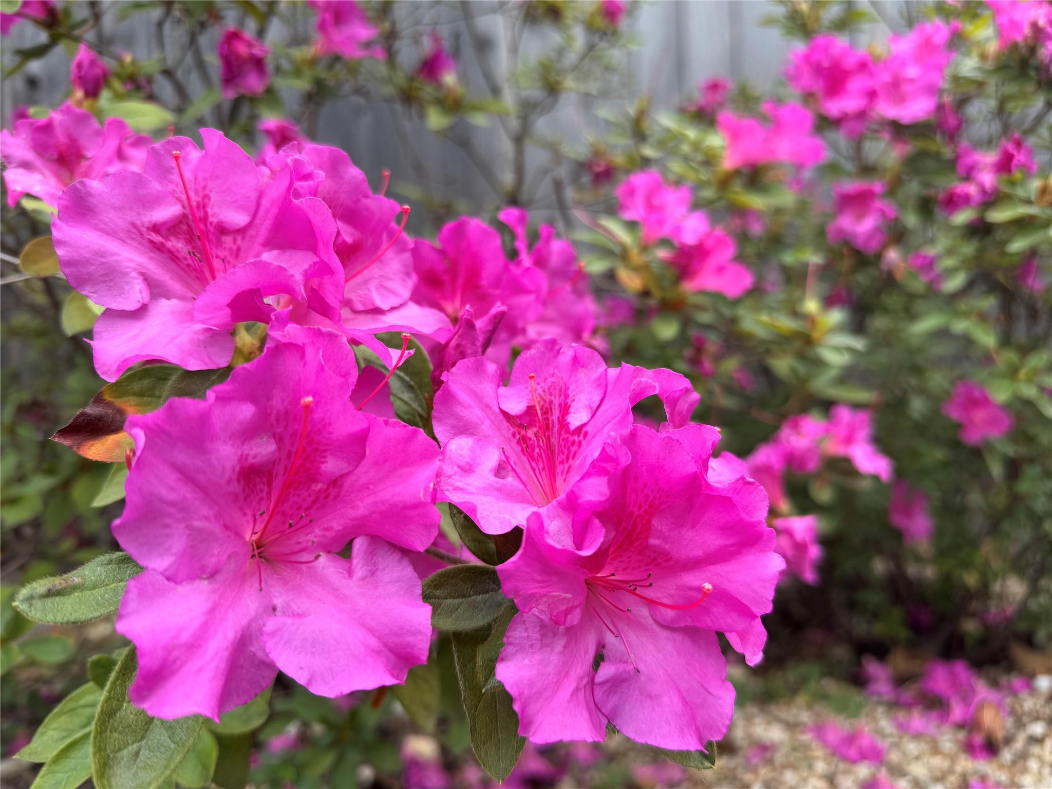 2210 Onion Creek Pkwy # 1404, Austin, TX 78747