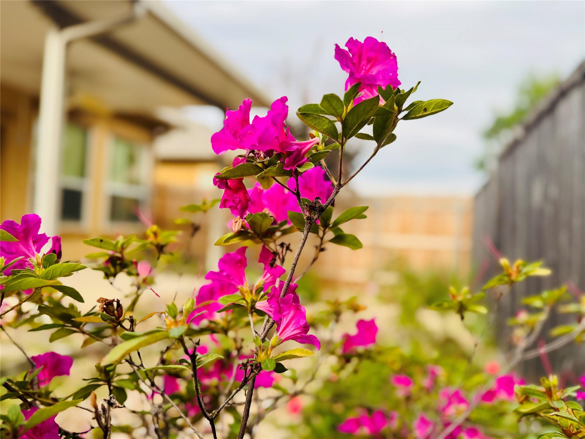 2210 Onion Creek Pkwy # 1404, Austin, TX 78747