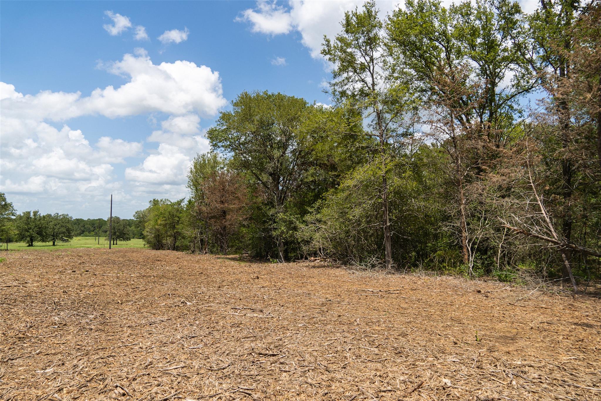 TBD St Delight (Tract 4) Rd, Paige, TX 78659