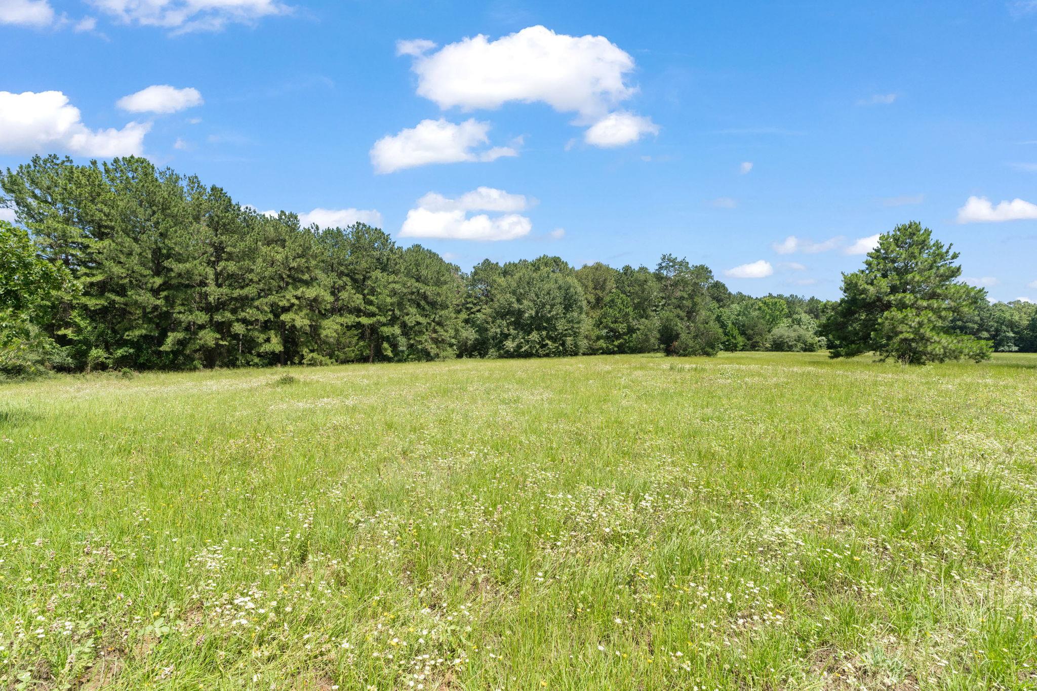 TBD St Delight (Tract 1) Rd, Paige, TX 78659