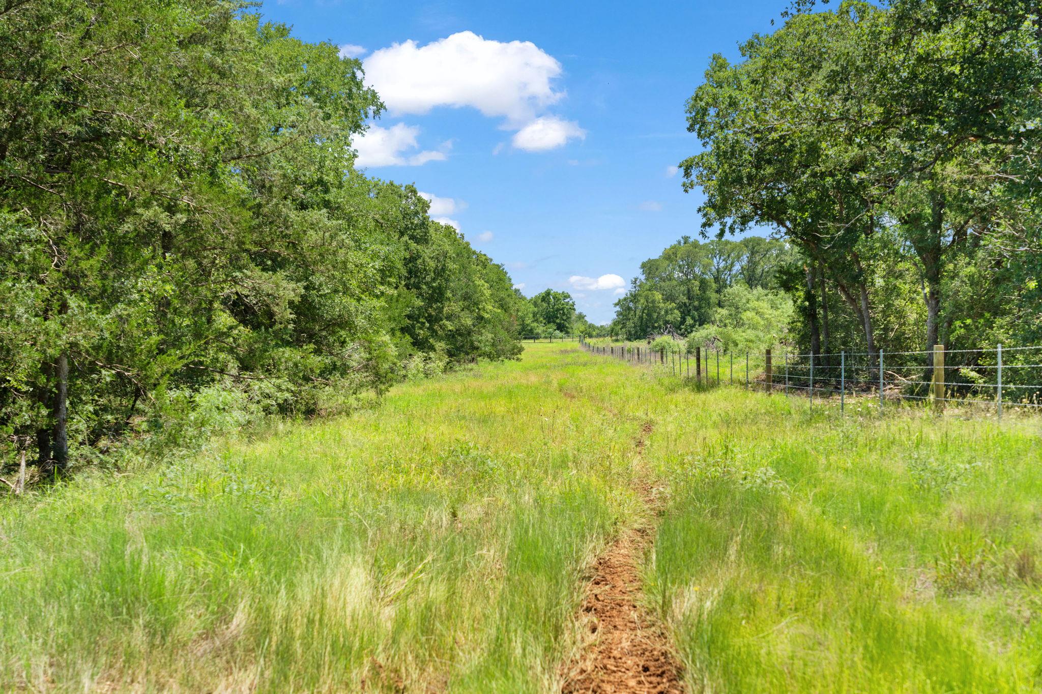 TBD St Delight (Tract 1) Rd, Paige, TX 78659