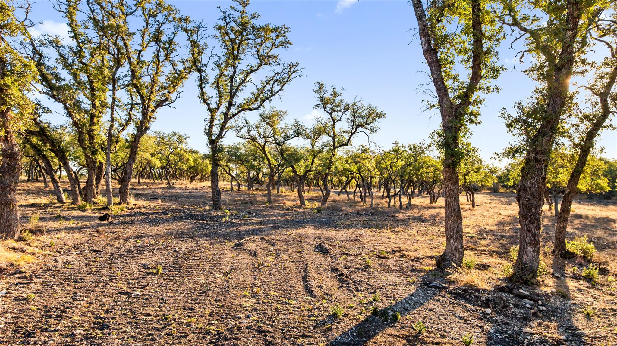 1422-12 RM 2766, Johnson City, TX 78636