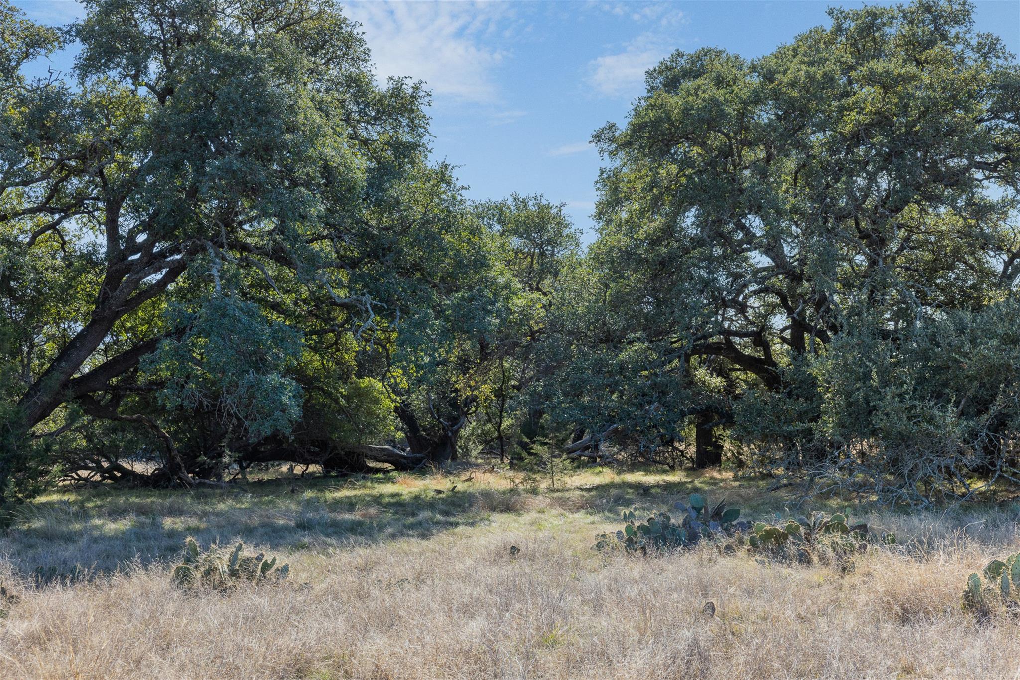 12 Bluestem Ln N, Lampasas, TX 76550