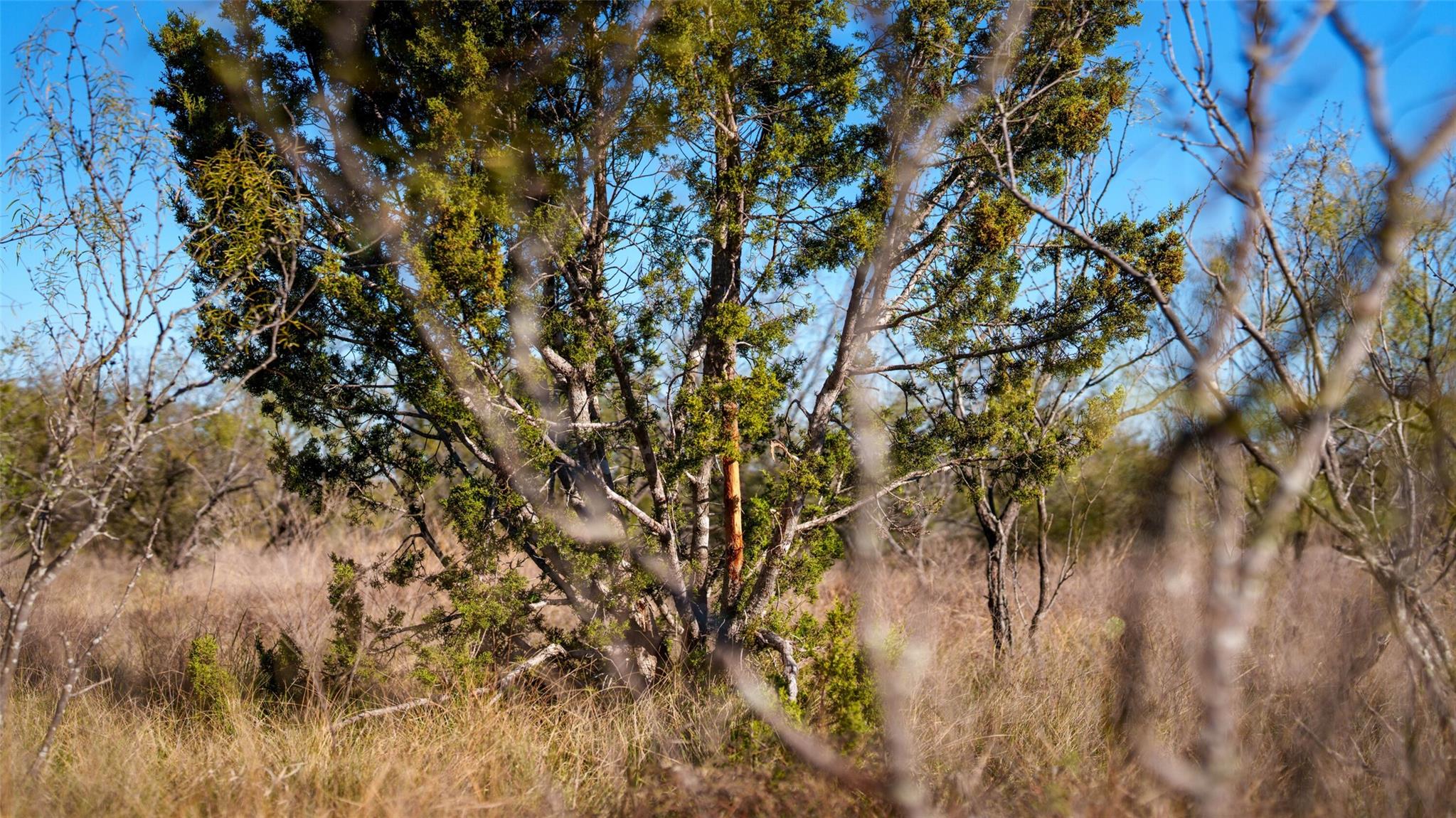 532 County Road 468, Rochelle, TX 76872