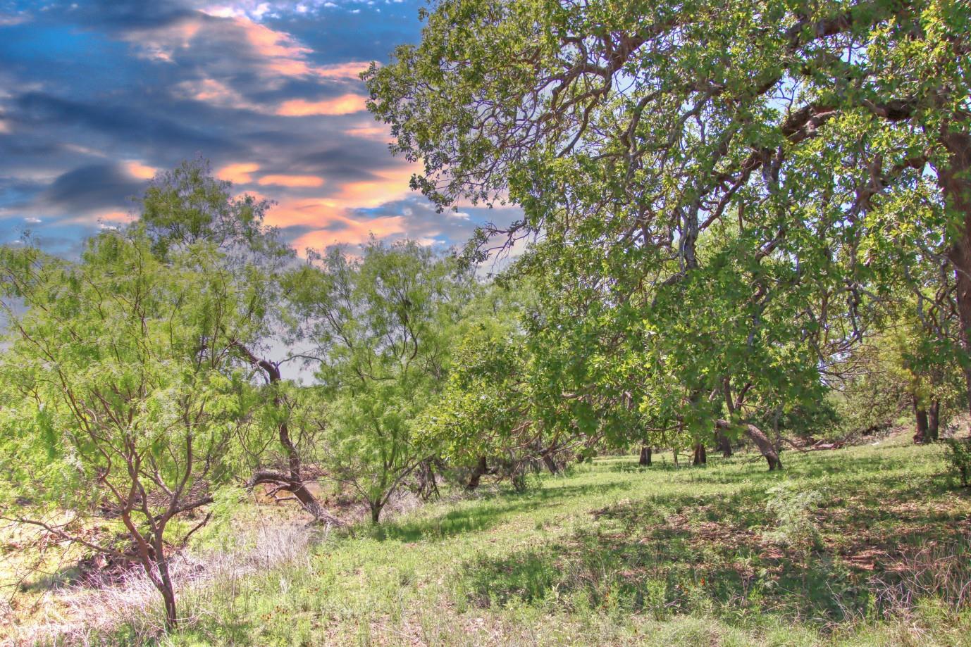 0 County Road 110, Burnet, TX 78611