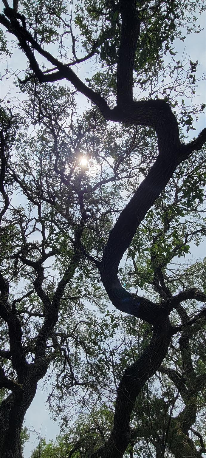 1391 Covered Wagon, Spring Branch, TX 78070