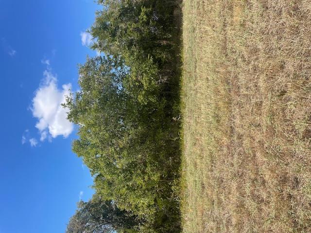 703 4th St, Bruceville-Eddy, TX 76524