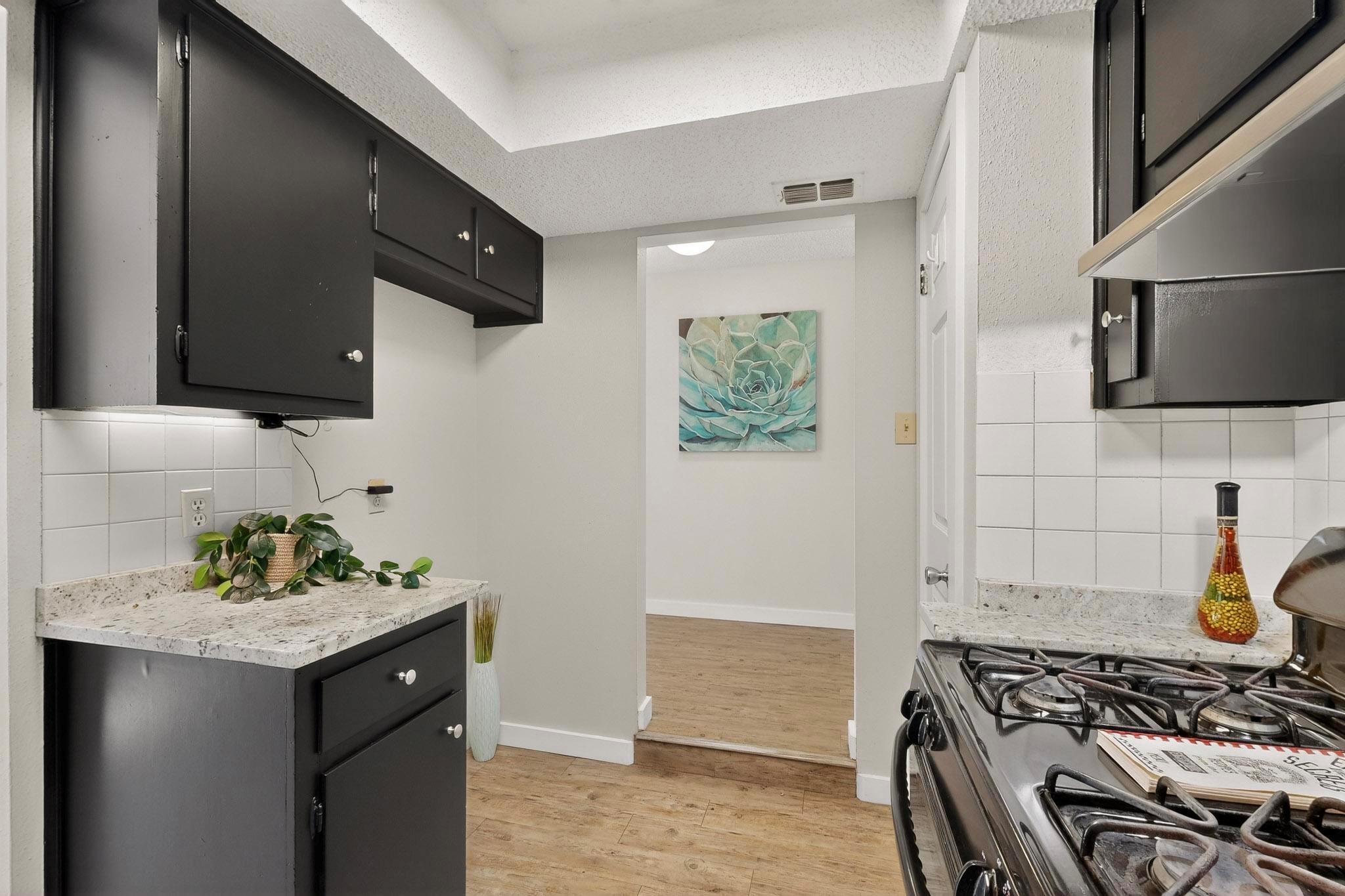 1004 Speer Ln, Austin, TX 78745