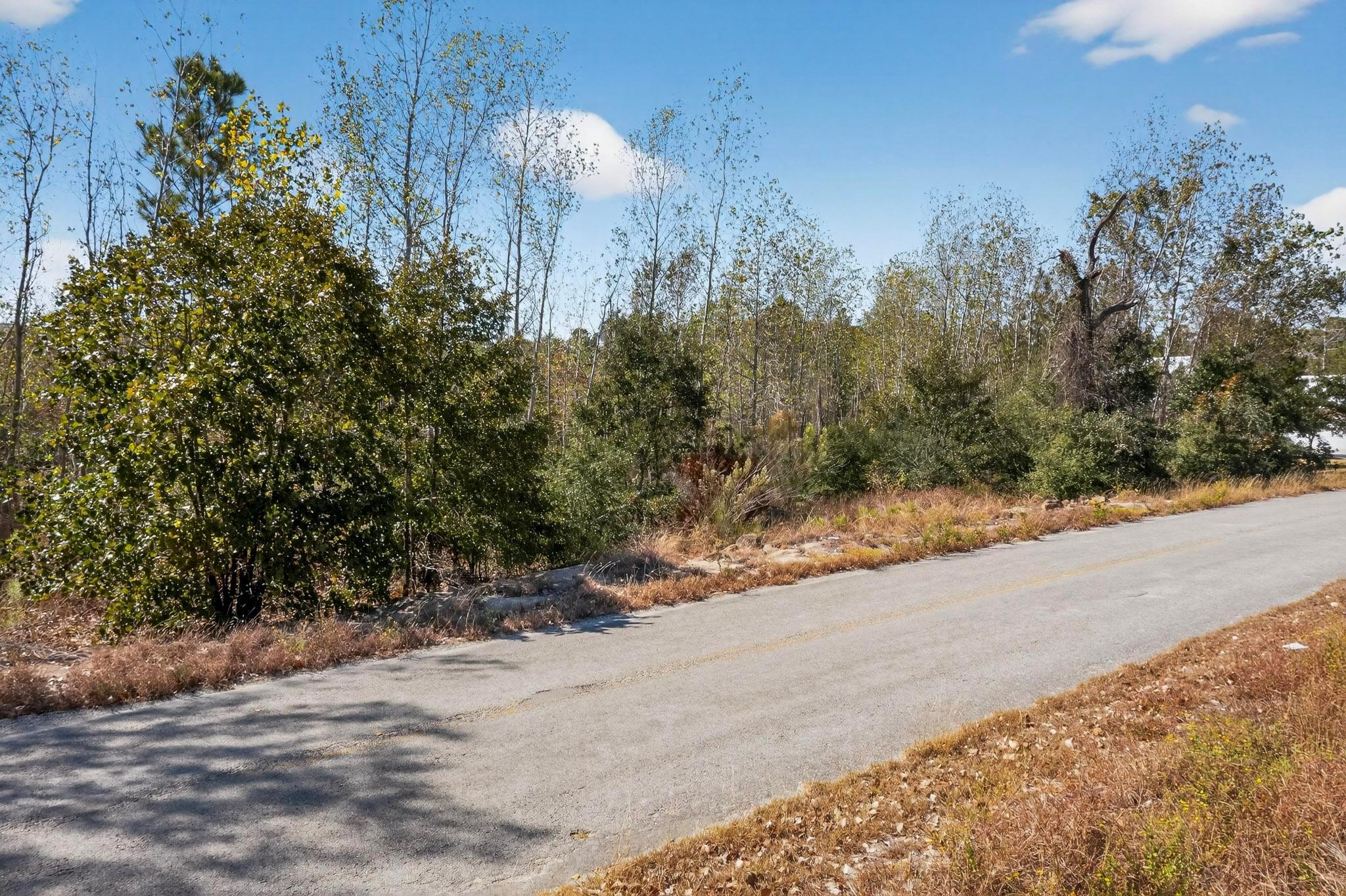 401 Kaanapali Ln, Bastrop, TX 78602