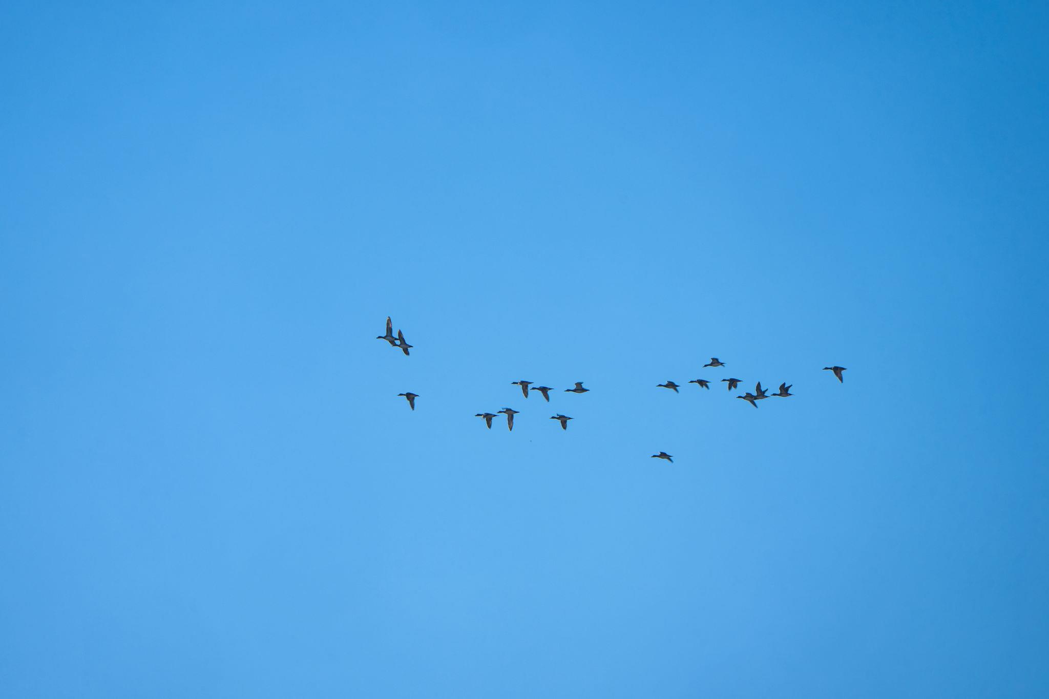 TBD FM 1047, Lometa, TX 76853