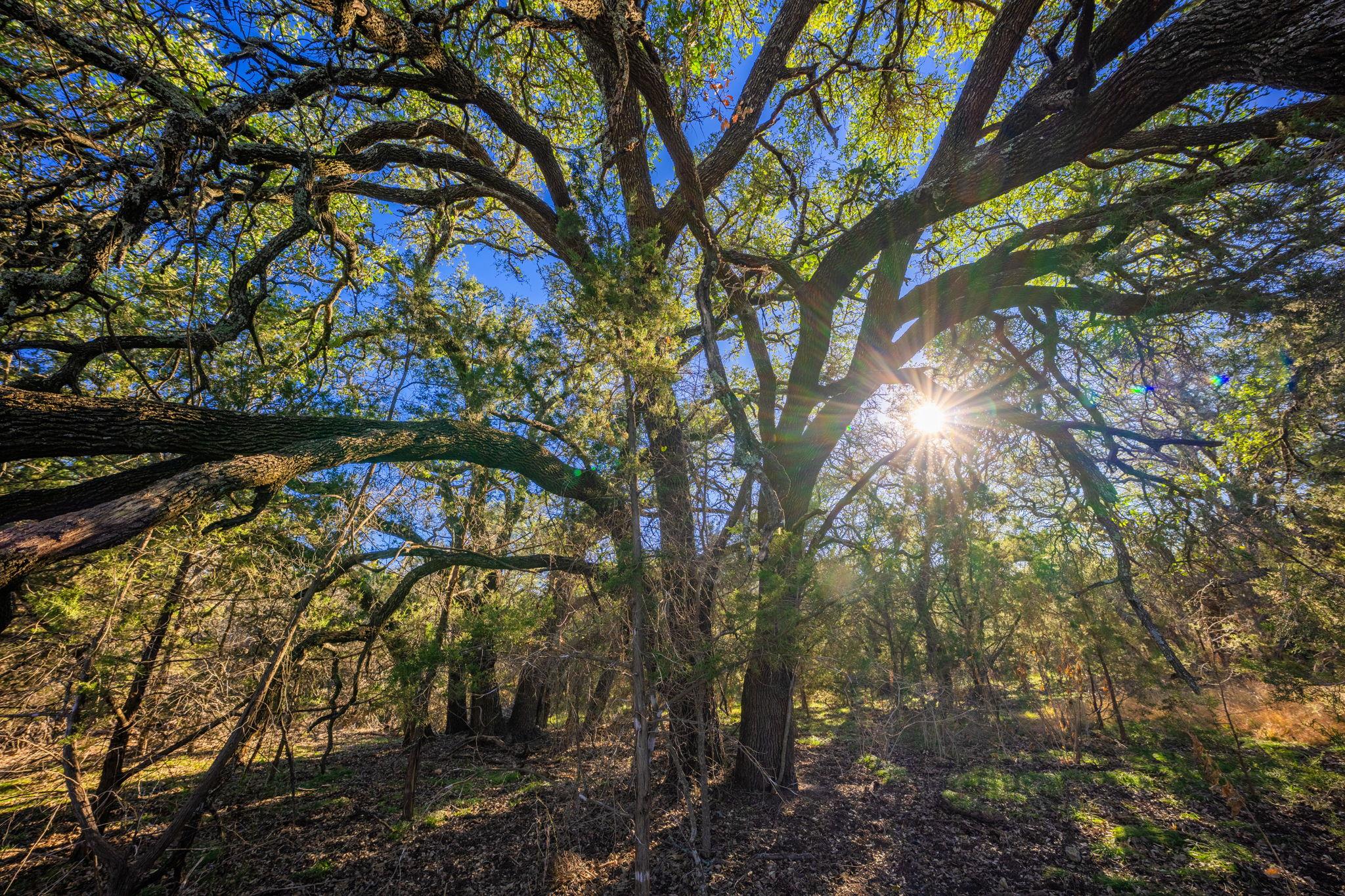 TBD FM 1047, Lometa, TX 76853