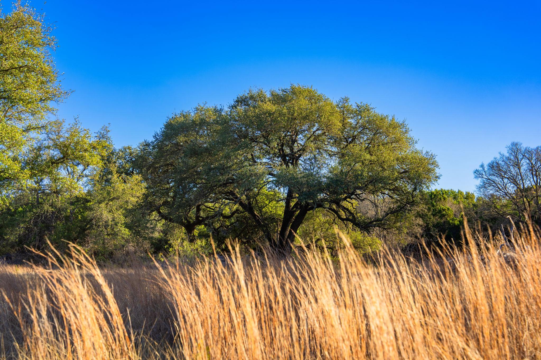 TBD FM 1047, Lometa, TX 76853