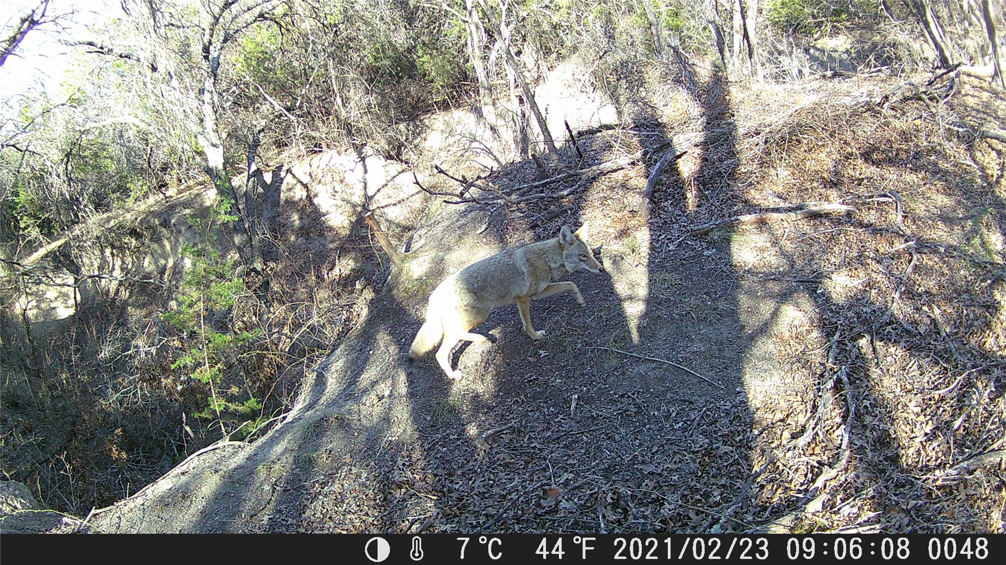 TBD FM 1047, Lometa, TX 76853