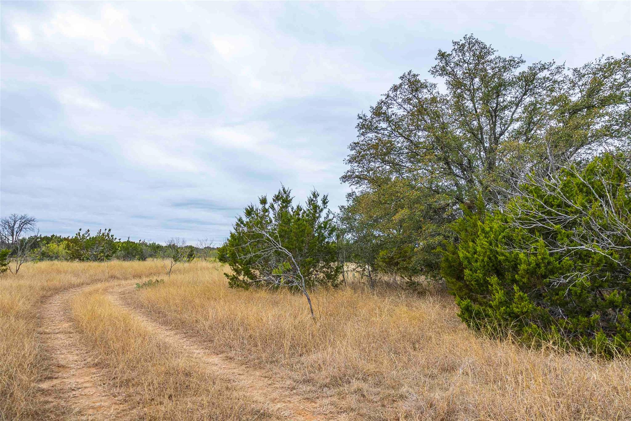 TBD County Road 200, Bertram, TX 78611