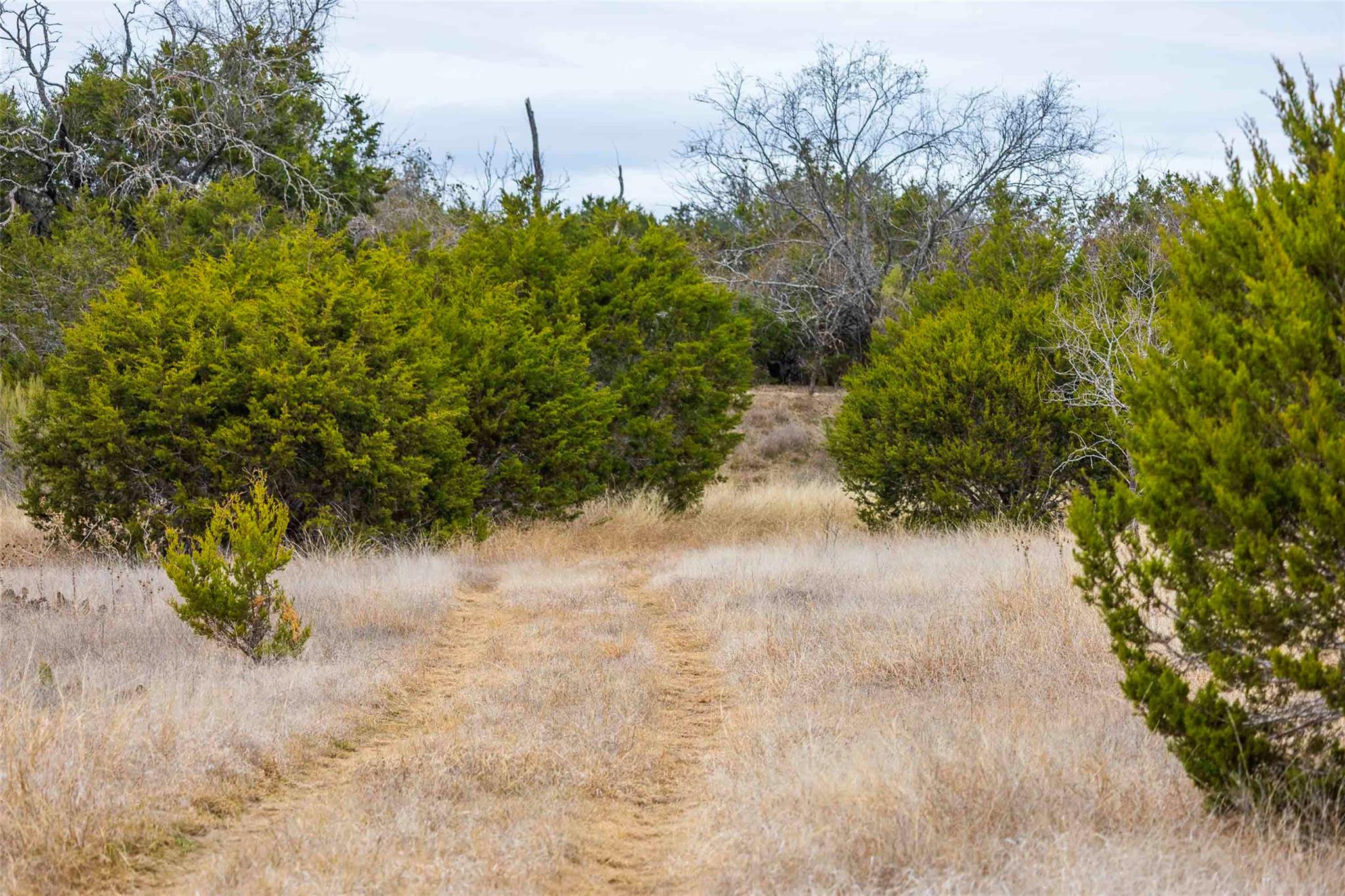 TBD County Road 200, Bertram, TX 78611