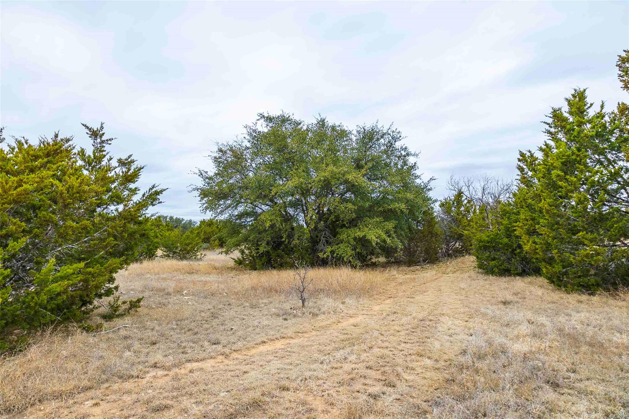 TBD County Road 200, Bertram, TX 78611