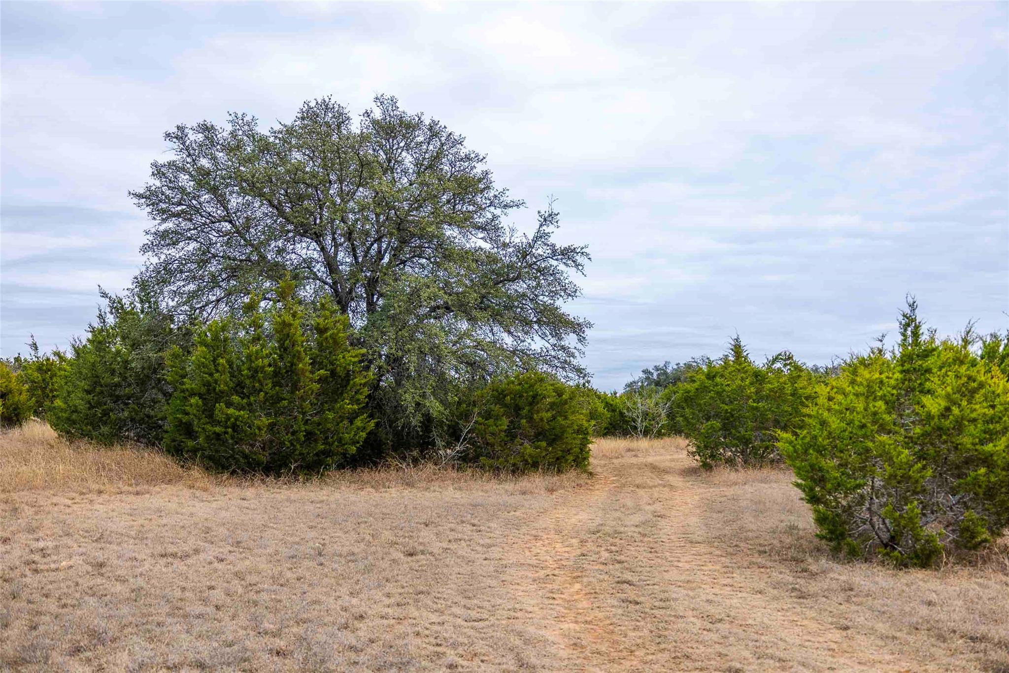 TBD County Road 200, Bertram, TX 78611