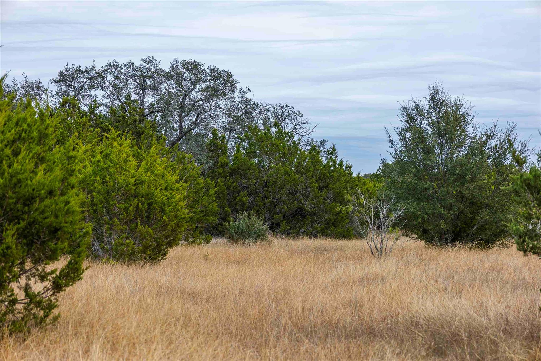 TBD County Road 200, Bertram, TX 78611