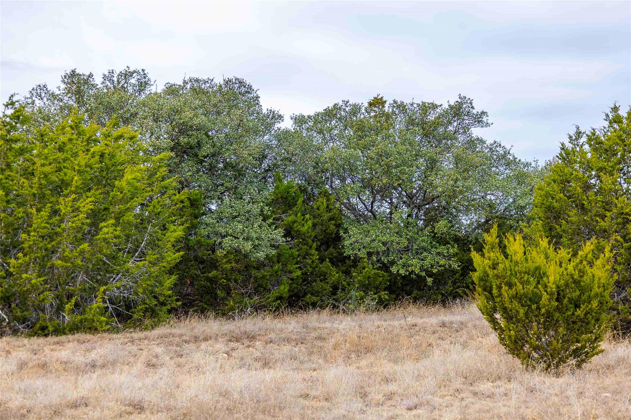 TBD County Road 200, Bertram, TX 78611