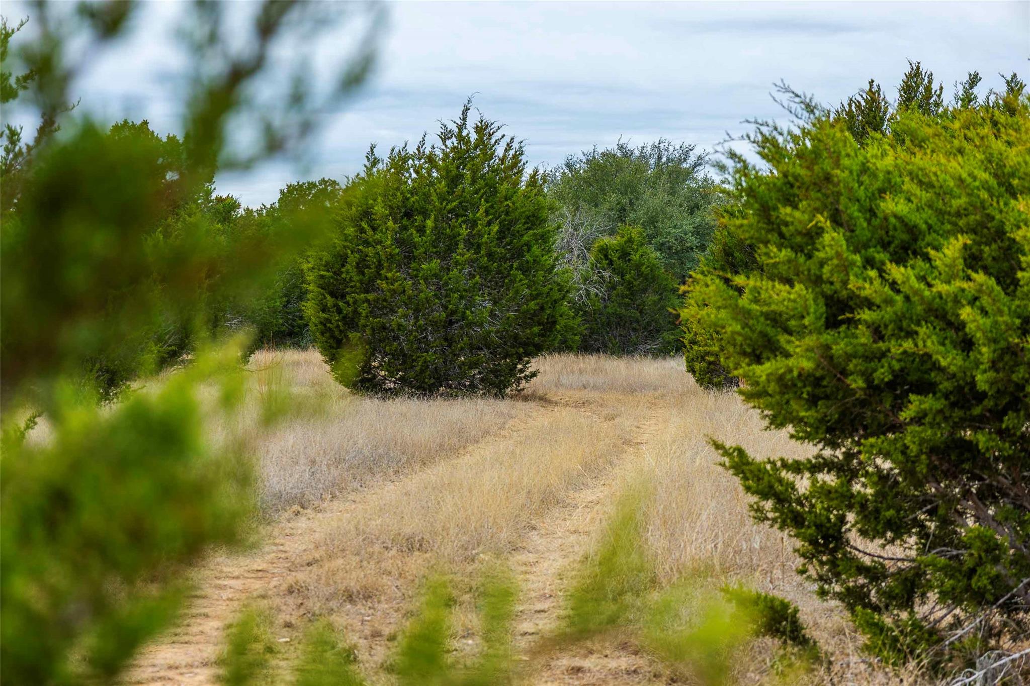 TBD County Road 200, Bertram, TX 78611