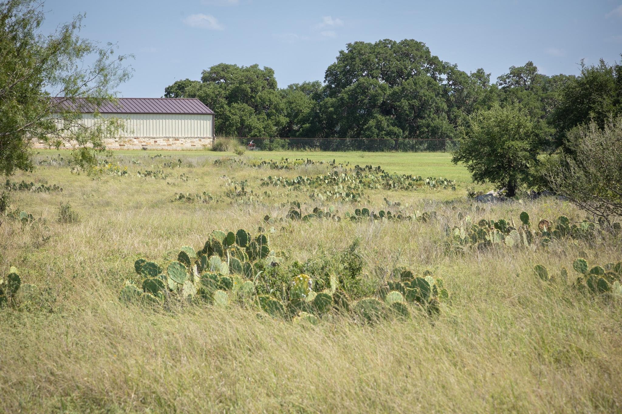 TBD ( LOT 734) Salt Grass Trail Trl, Bandera, TX 78003