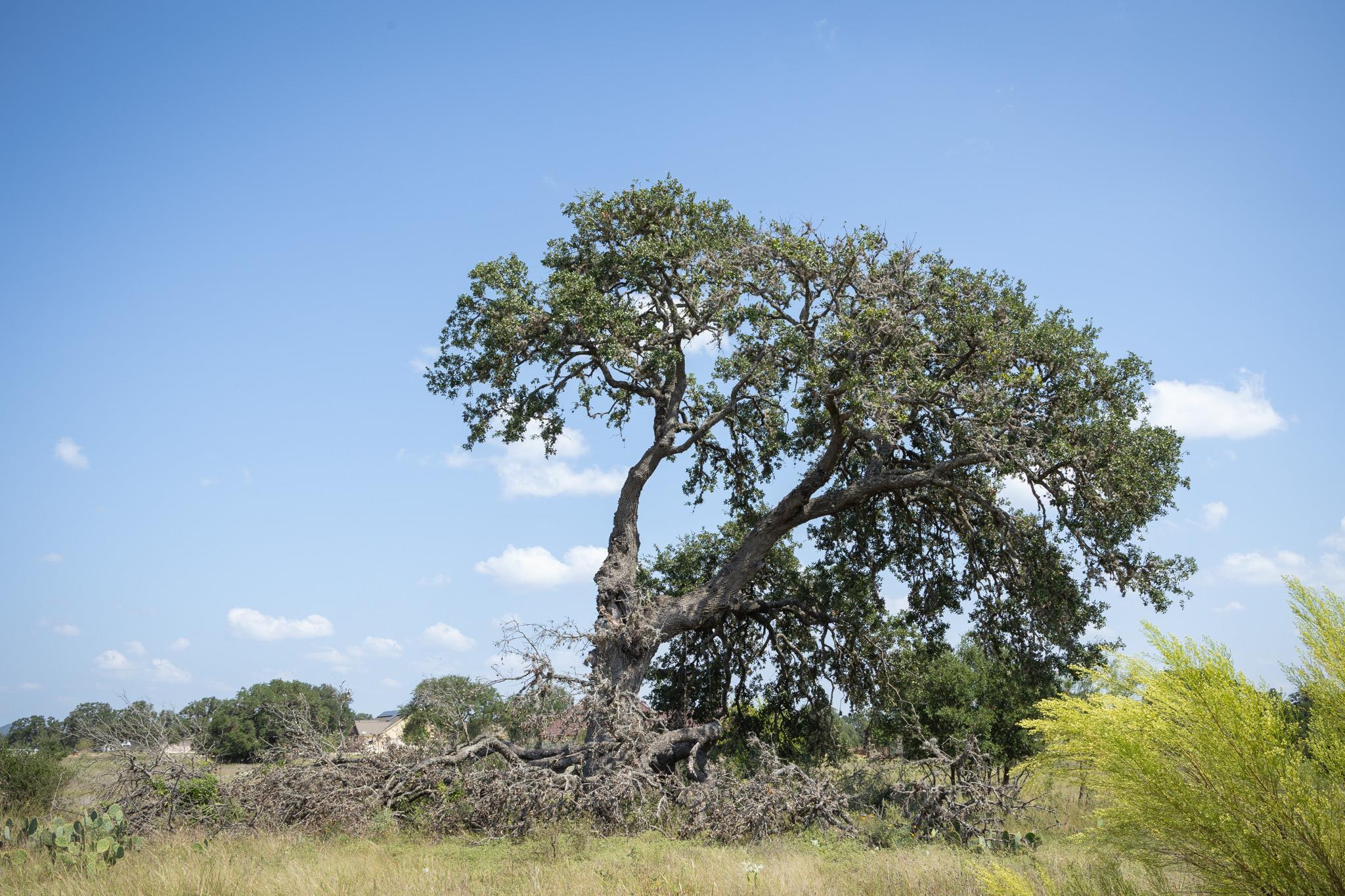TBD ( LOT 734) Salt Grass Trail Trl, Bandera, TX 78003