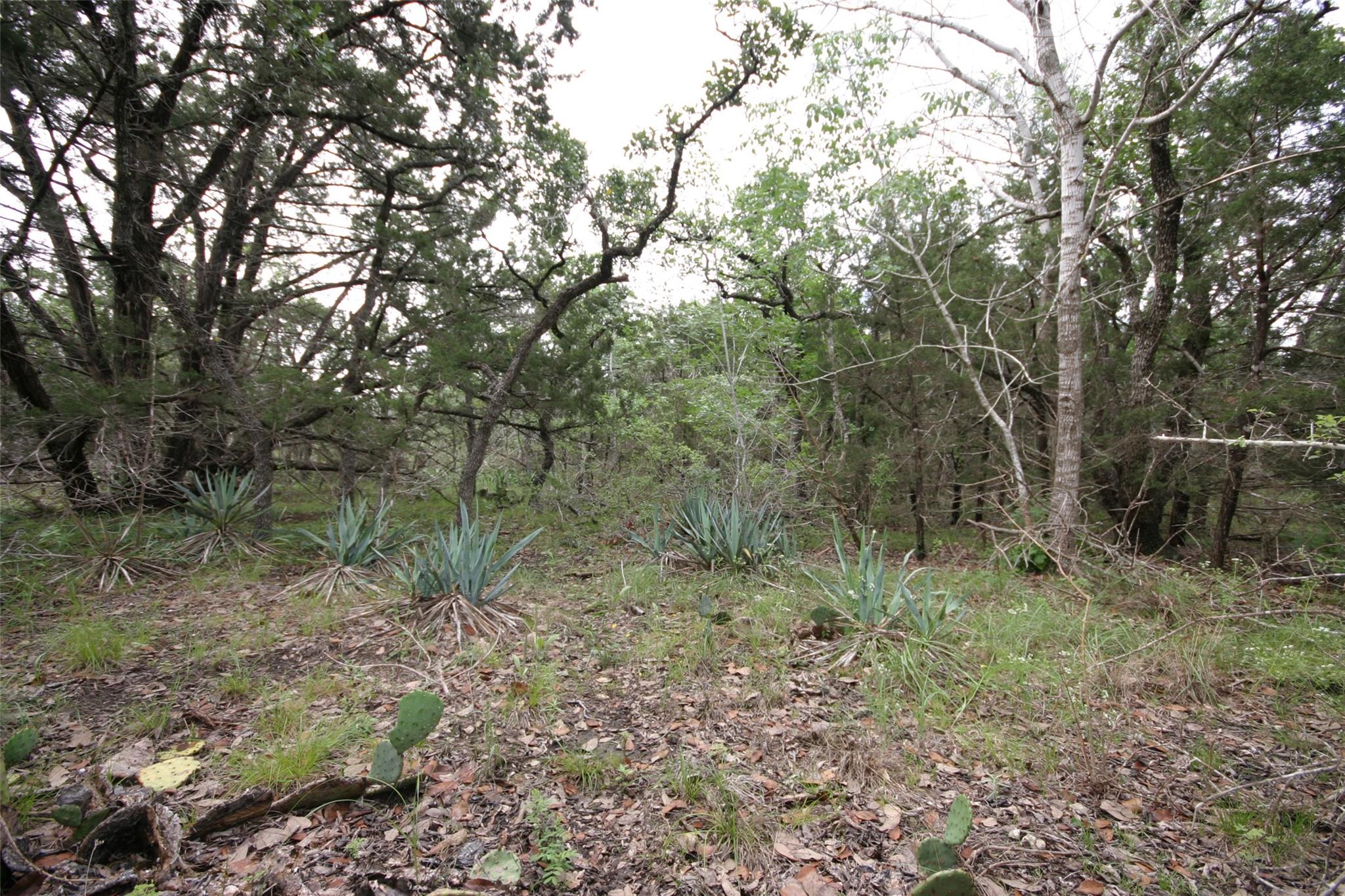 1900 County Road 156, Georgetown, TX 78628