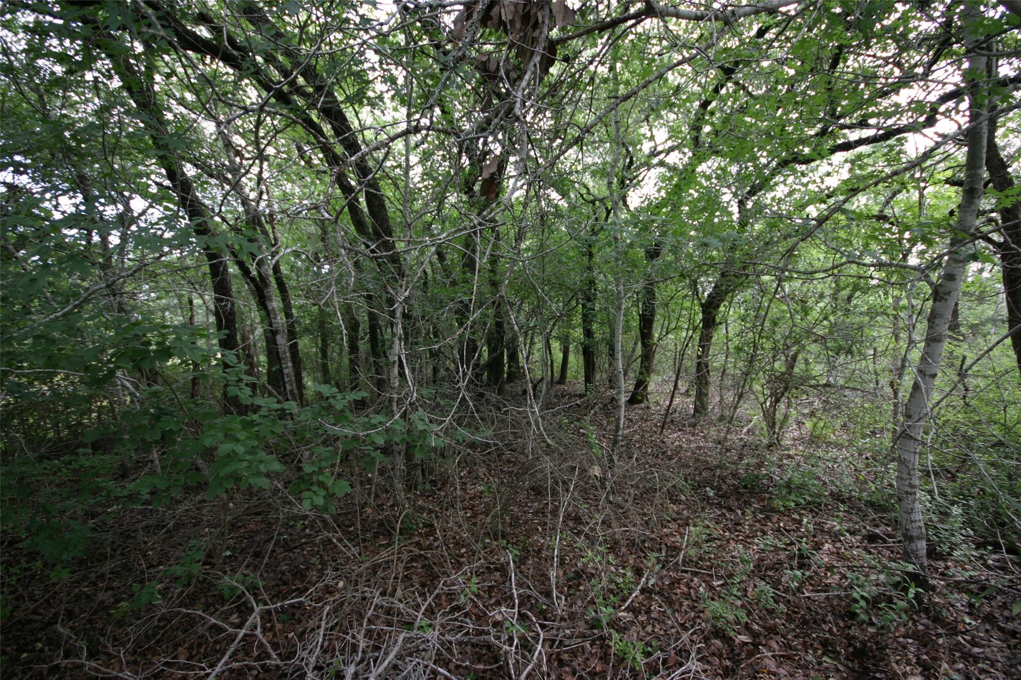 1900 County Road 156, Georgetown, TX 78628