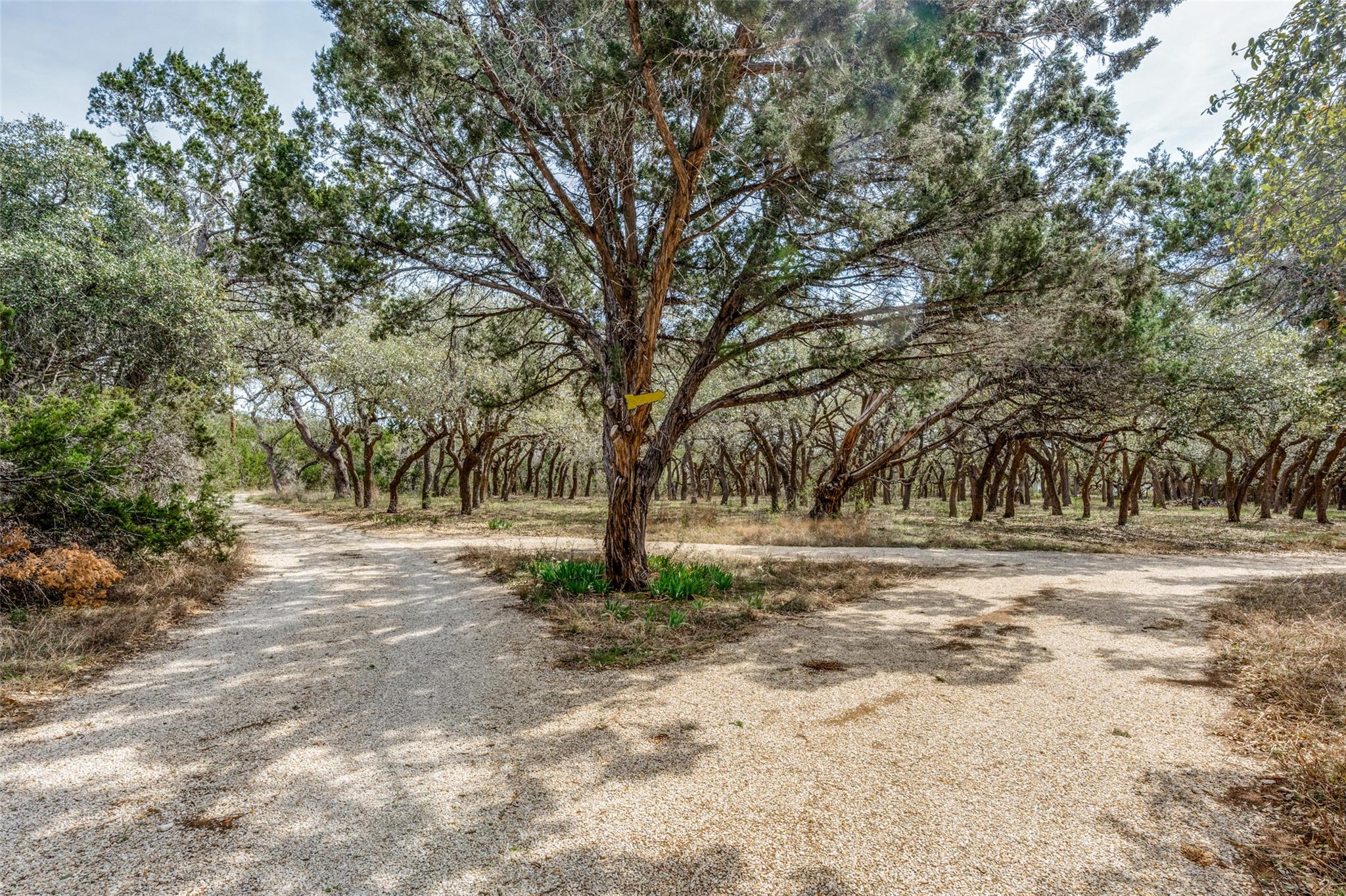 34970 Smithson Valley Rd, Bulverde, TX 78163