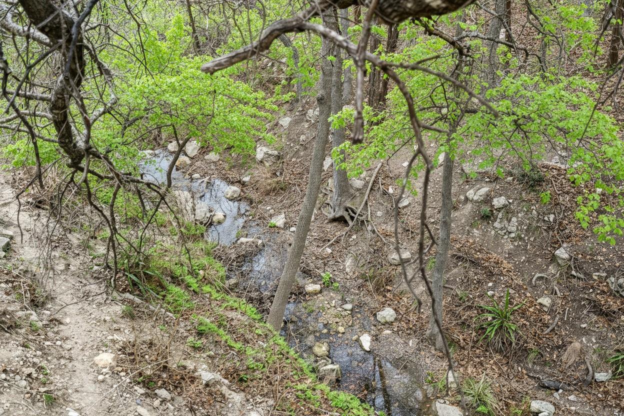 107 Cascading Waters Pl, Lakeway, TX 78734