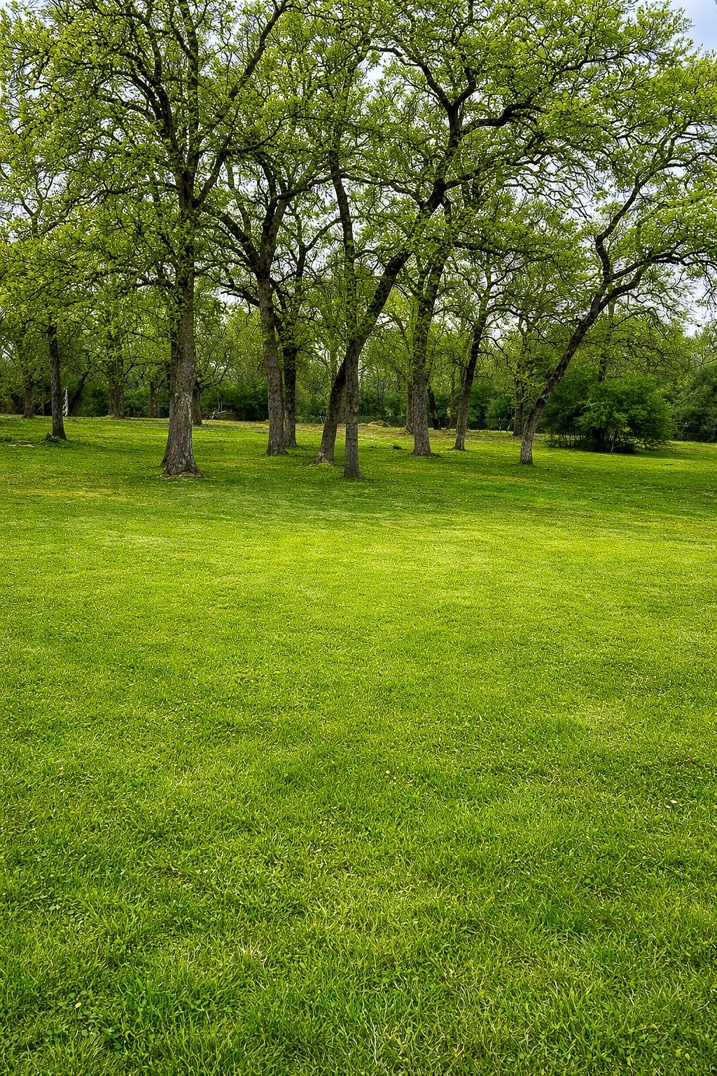 7031 Red Rock Rd, Franklin, TX 77856