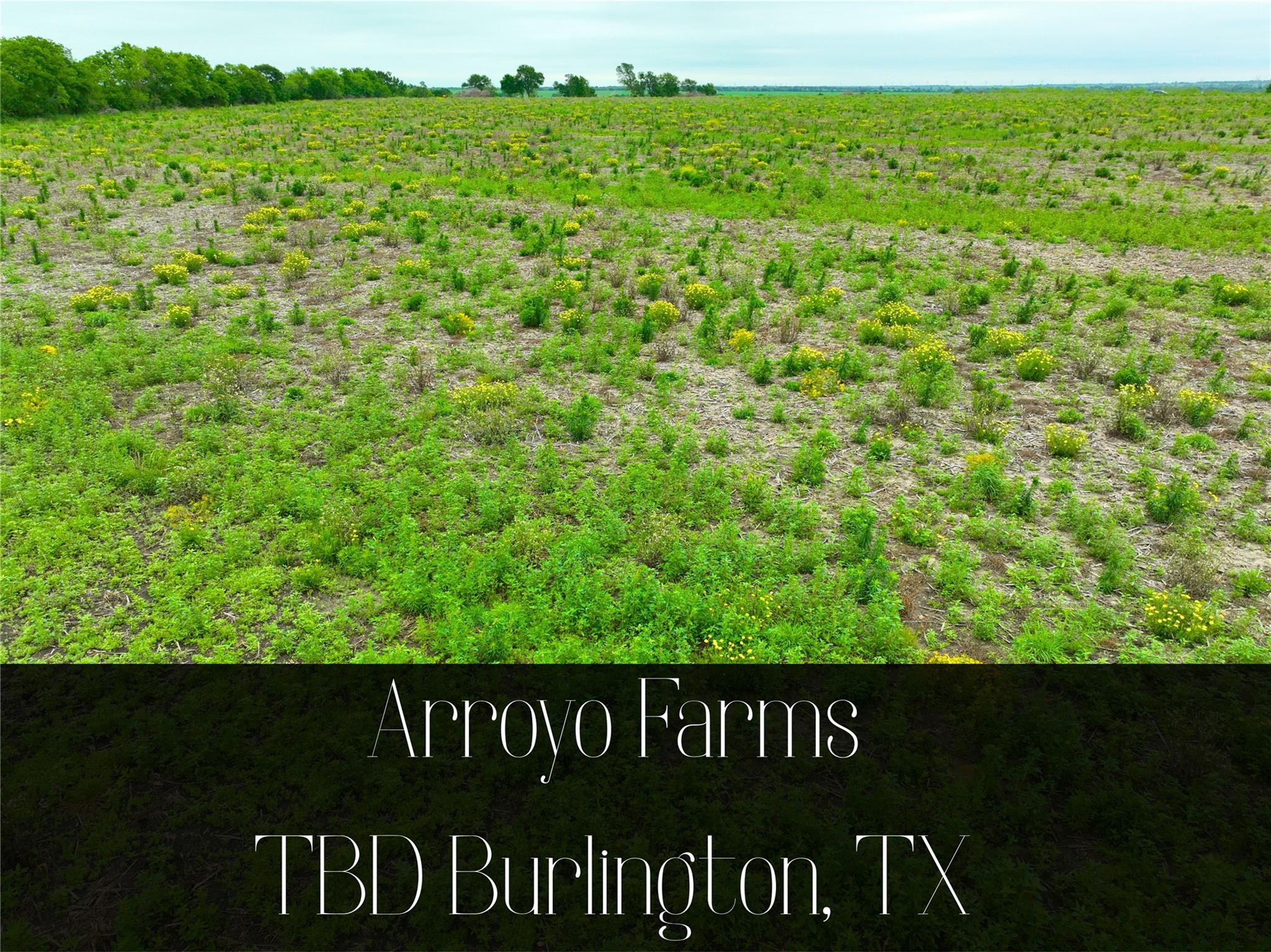 TBD Lot 1, Blk 1 132 Rd, Burlington, TX 76518