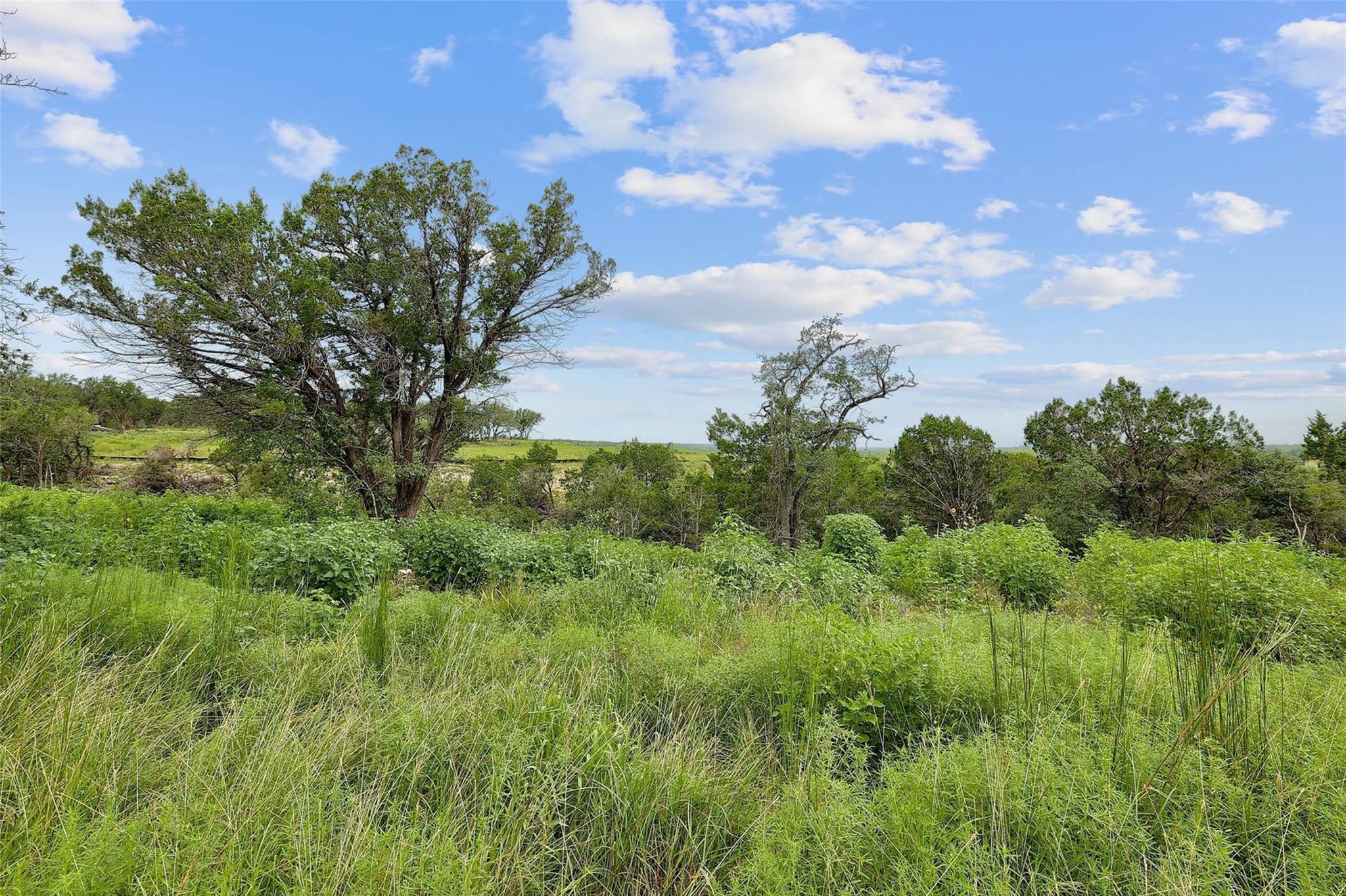 1500 County Road 279, Liberty Hill, TX 78642