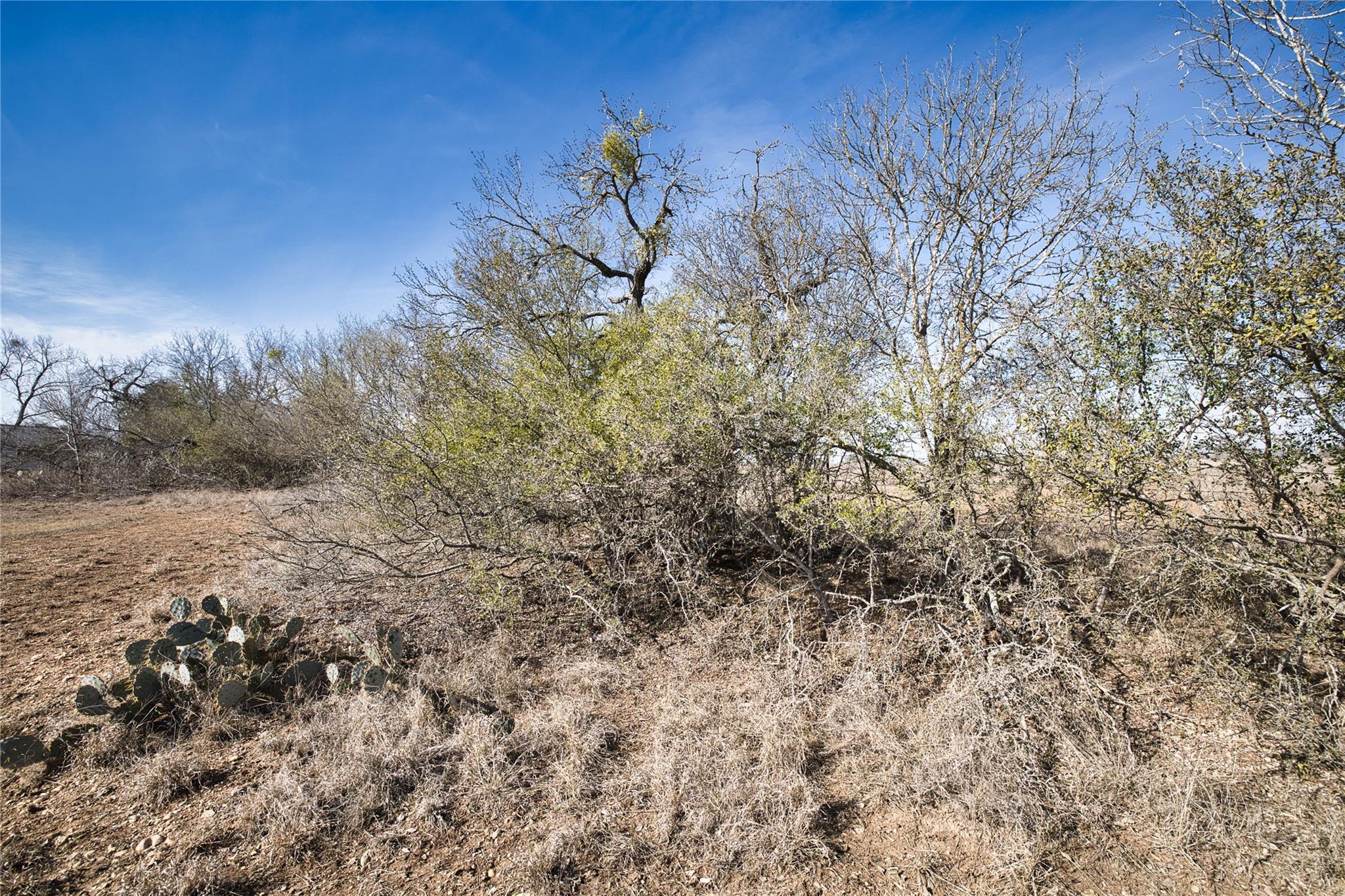 11639 Voges Pass, Schertz, TX 78108