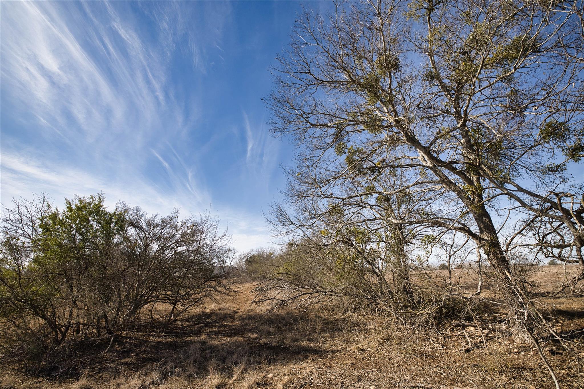 11639 Voges Pass, Schertz, TX 78108