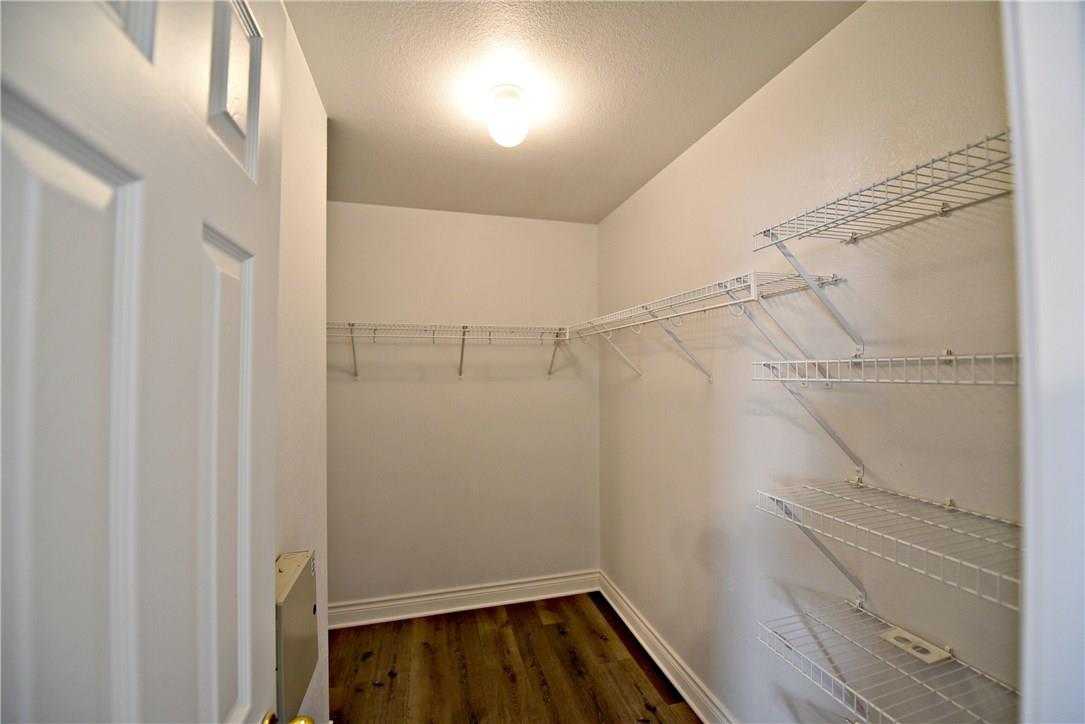 3665 Spring Canyon Trl, Round Rock, TX 78681