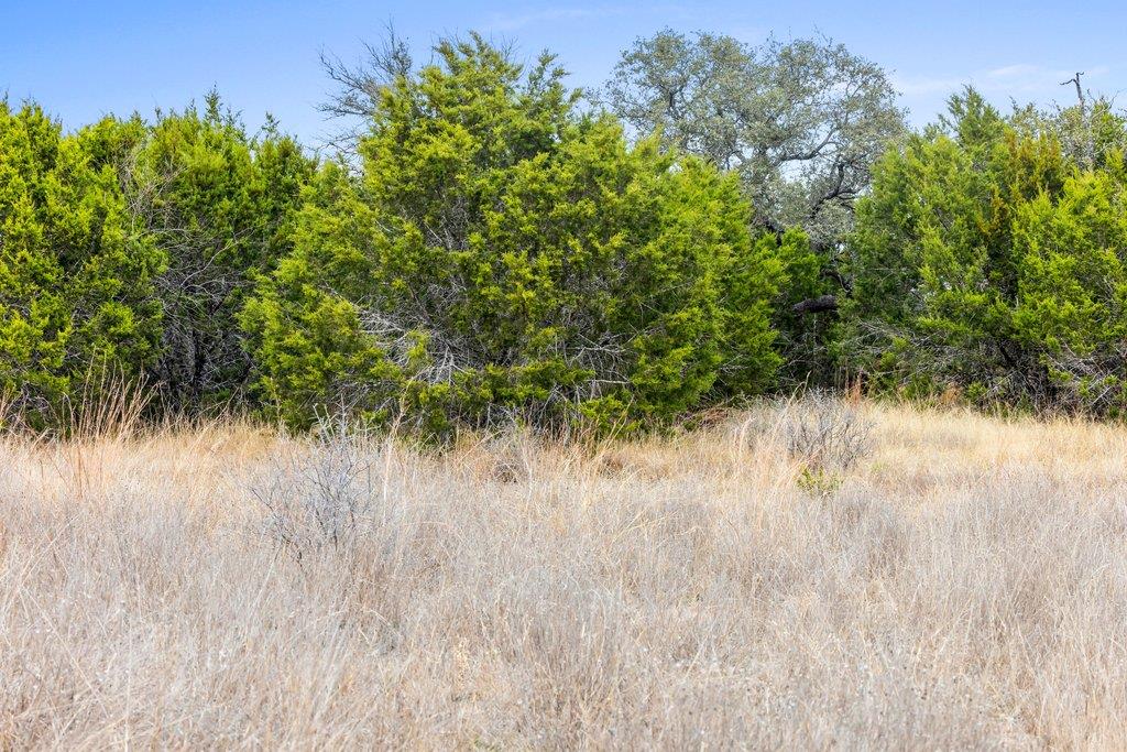 - Private Road 4718 Lot 81 Land, Kempner, TX 76539