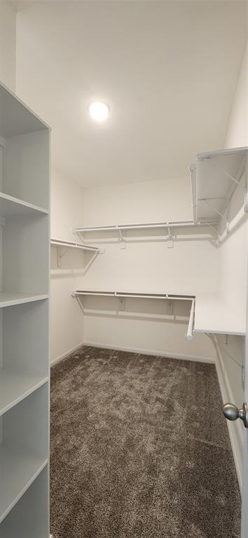 201 Water Grass Trl, Clute, TX 77531