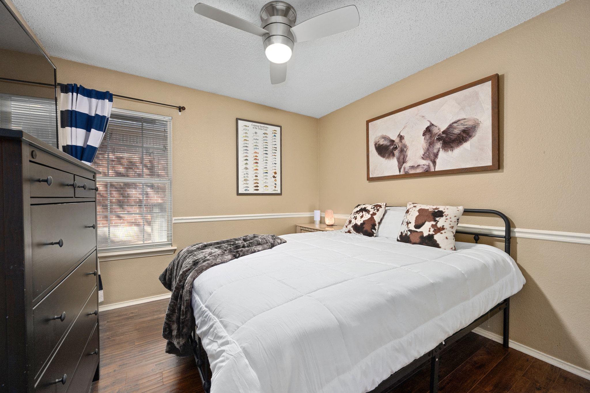 16919 Copperhead Dr, Round Rock, TX 78664