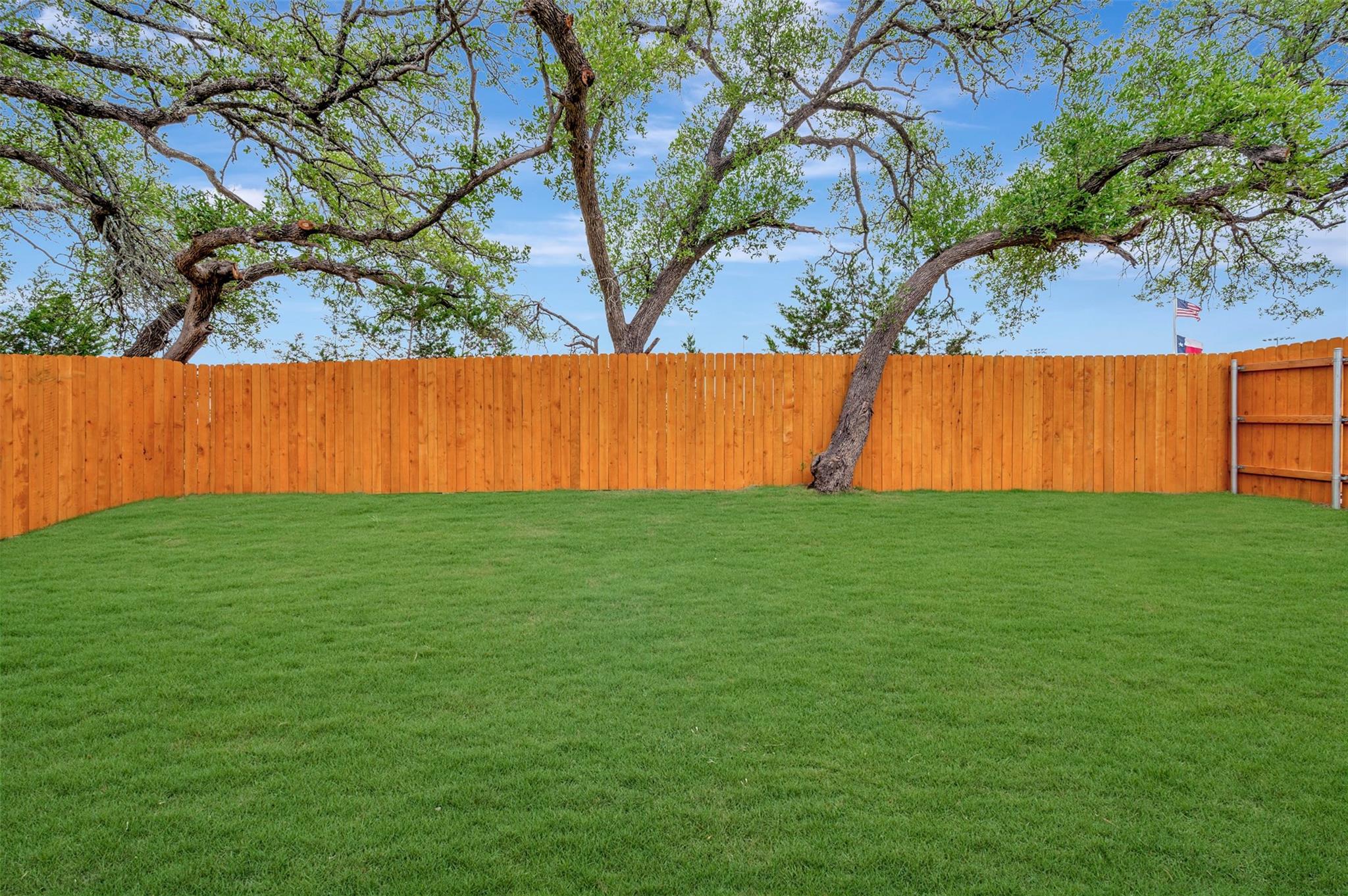 174 Norway Spruce St, Dripping Springs, TX 78620