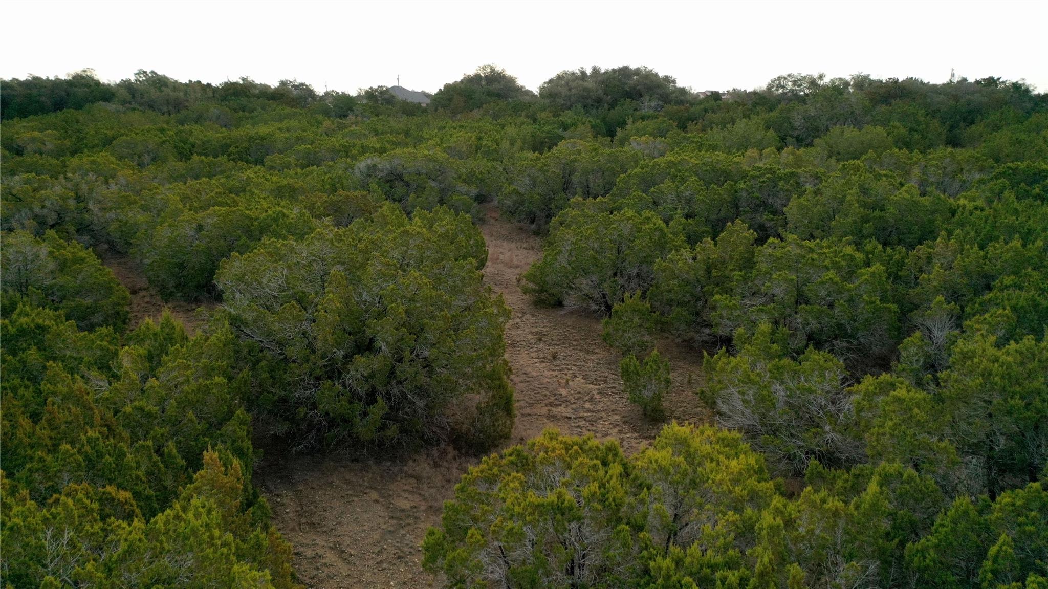 310 Sundance Trl, Liberty Hill, TX 78642