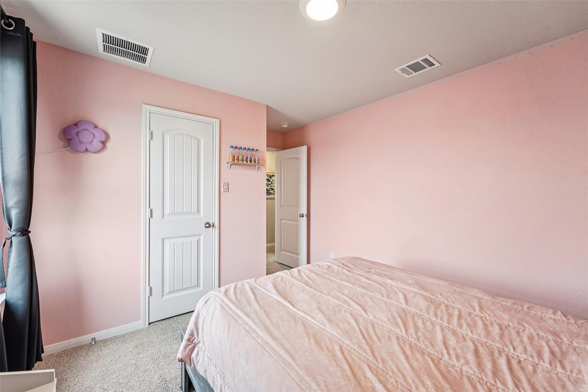 356 Spider Lily Dr, Kyle, TX 78640