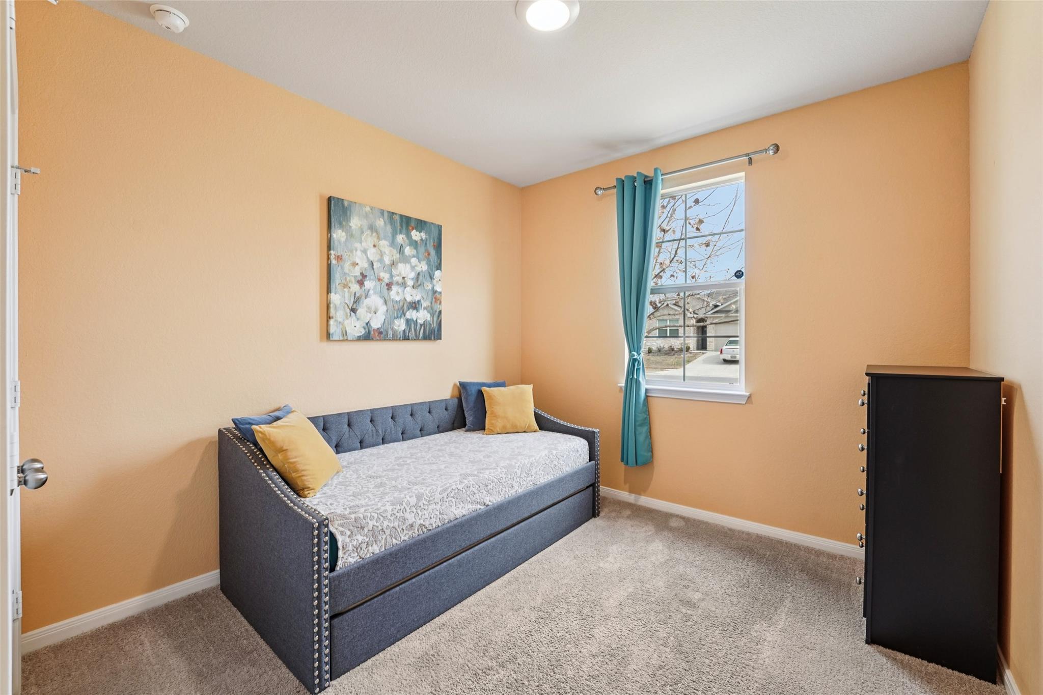 356 Spider Lily Dr, Kyle, TX 78640