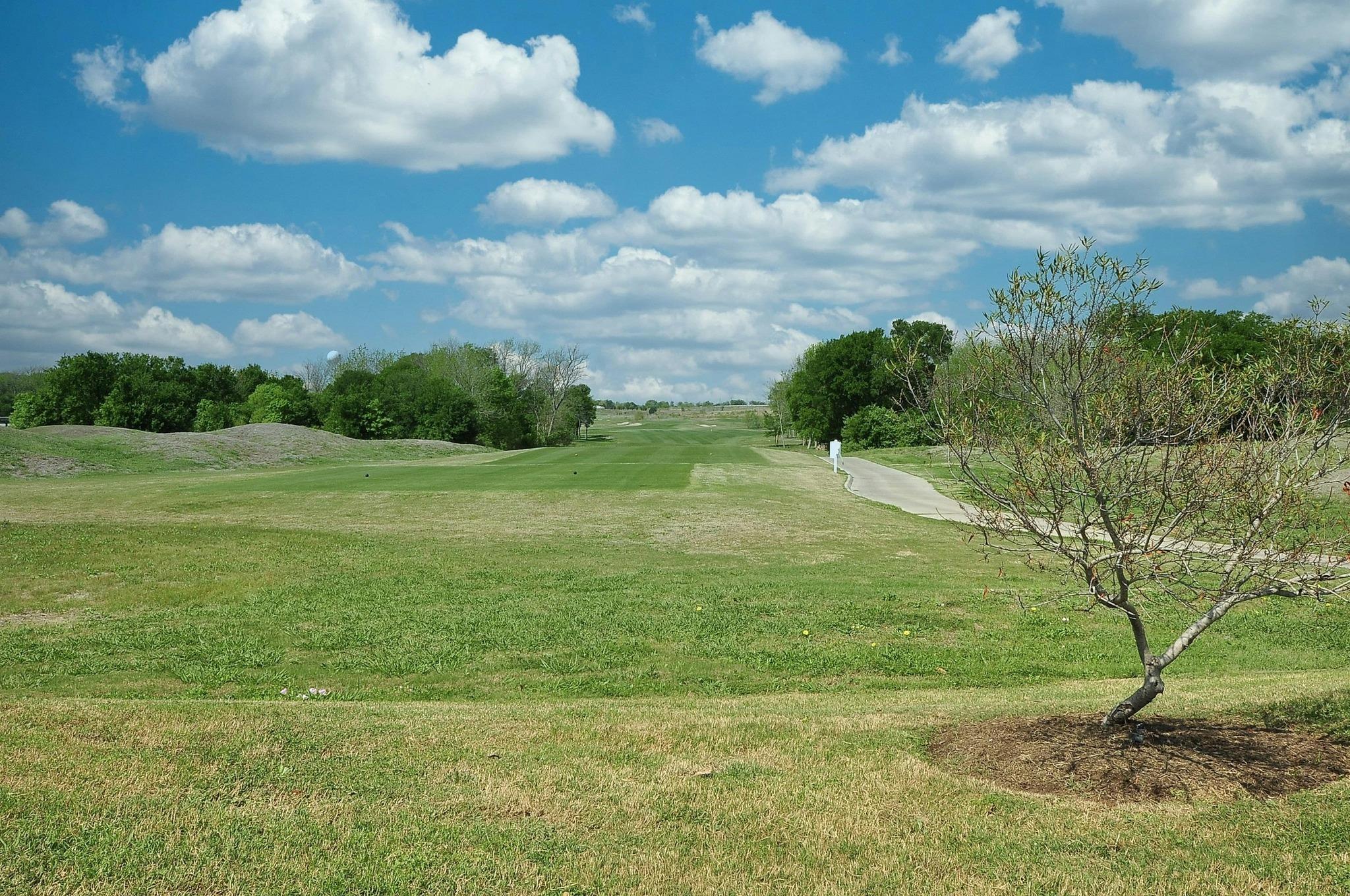 16708 Rakesh Way, Manor, TX 78653