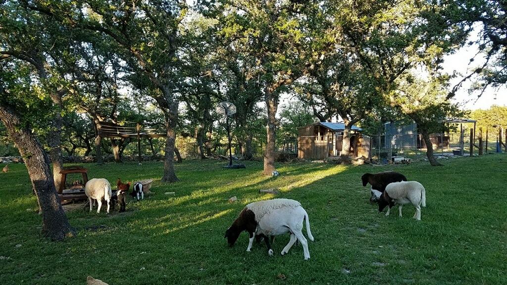 311 Harmon Hills Cv, Dripping Springs, TX 78620