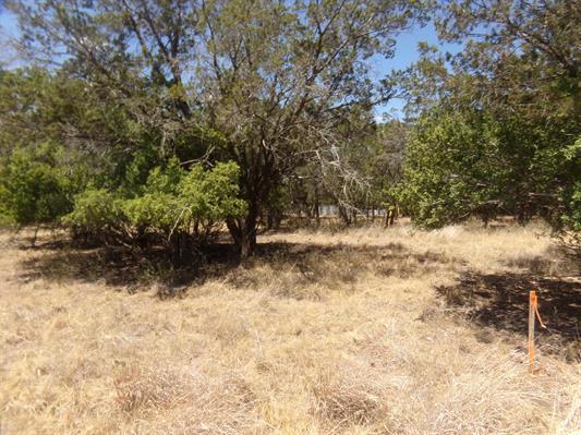 Lot 141 Pine Lane, Cottonwood Shores, TX 78657