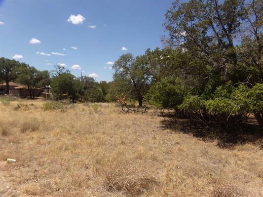 Lot 142 Pine Lane, Cottonwood Shores, TX 78657