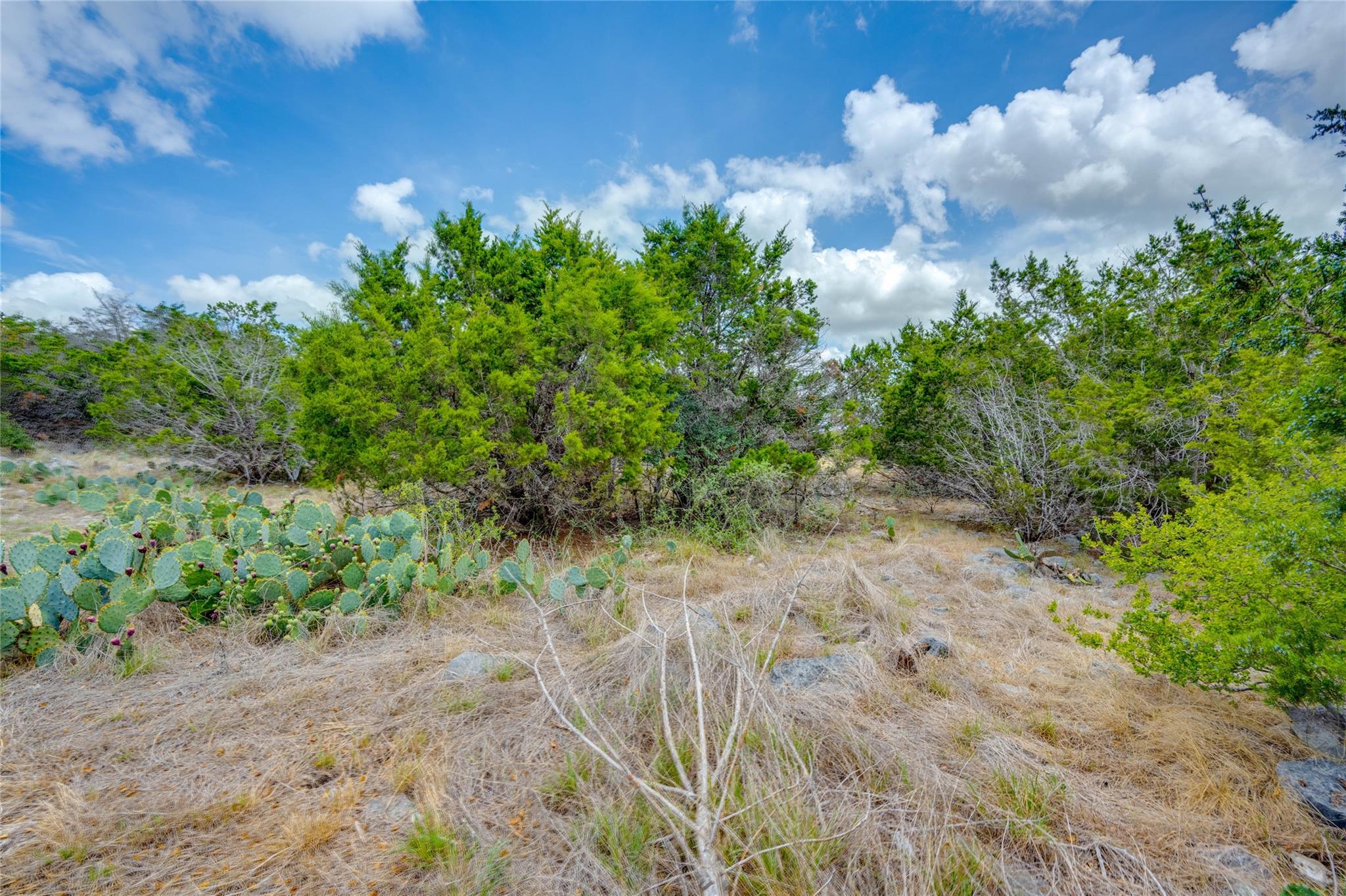 328 Valley Ldg, New Braunfels, TX 78132