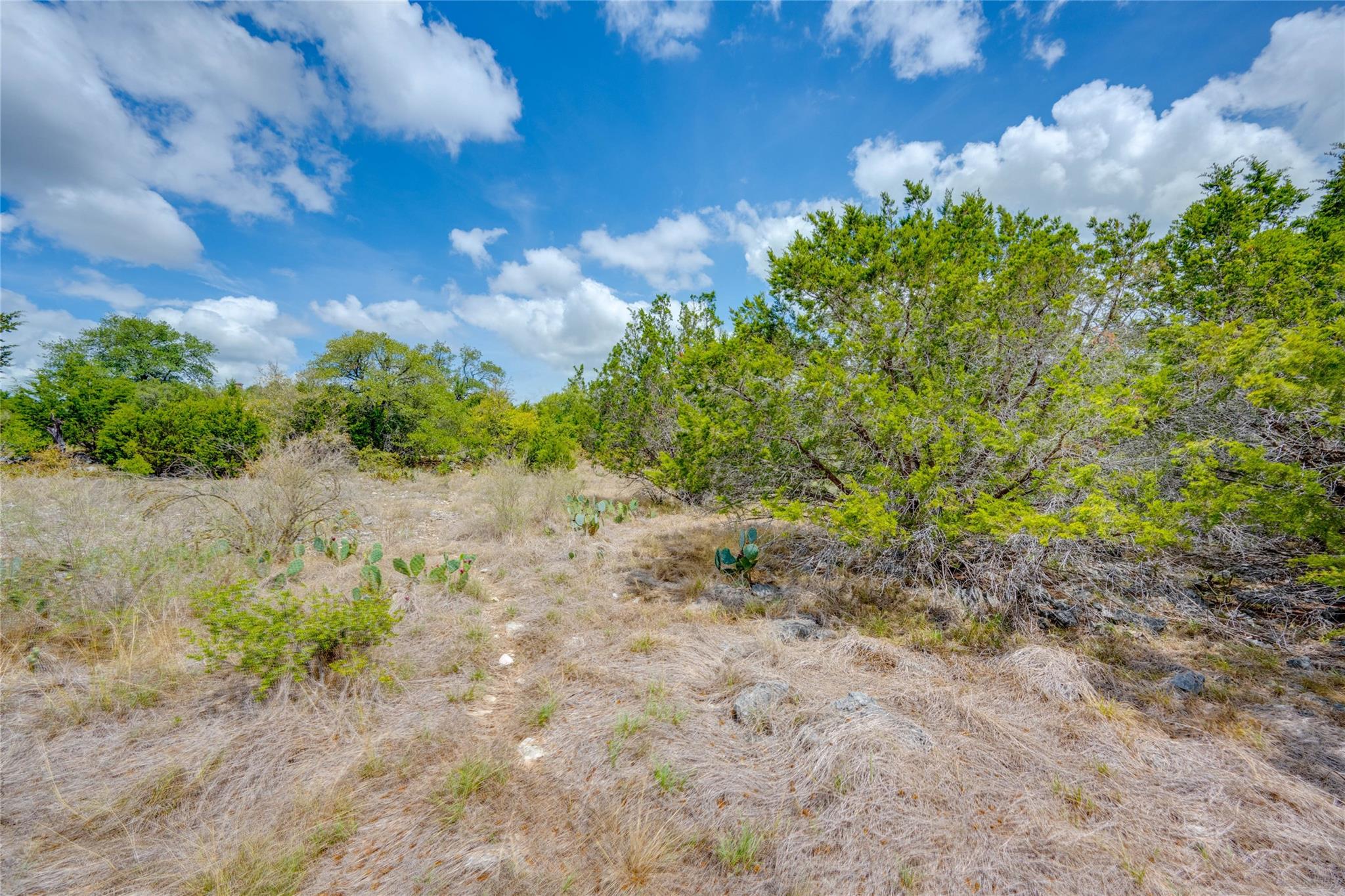 328 Valley Ldg, New Braunfels, TX 78132